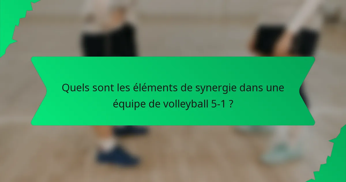 Quels sont les éléments de synergie dans une équipe de volleyball 5-1 ?